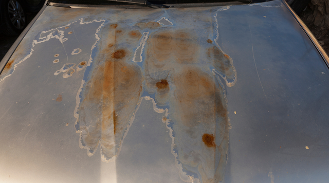 Car Paint Stain Removal: Types, Methods, and Prevention – AutoManiacs