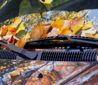 Fallen autumn leaves on car paint causing damage